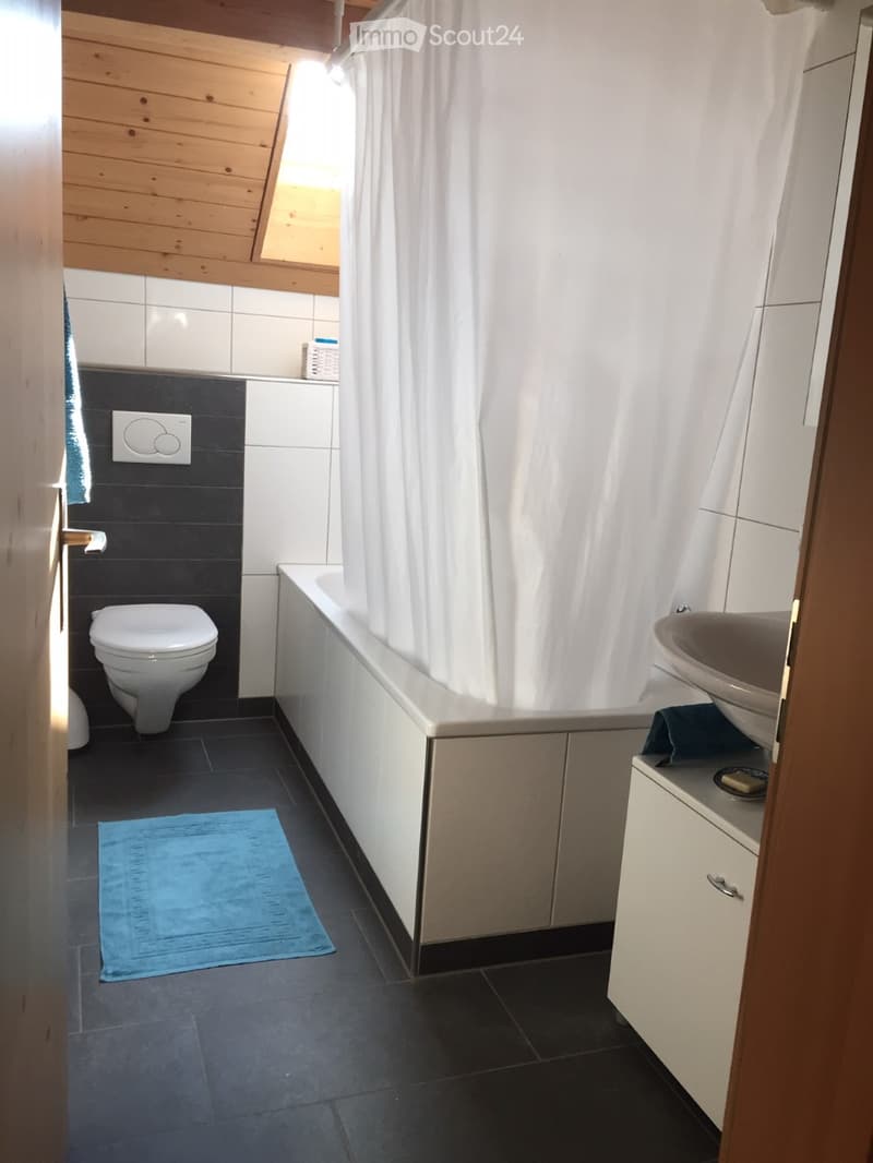 Modern bathroom with dark tiles, white fixtures, a bathtub, toilet, sink, and a blue bath mat.