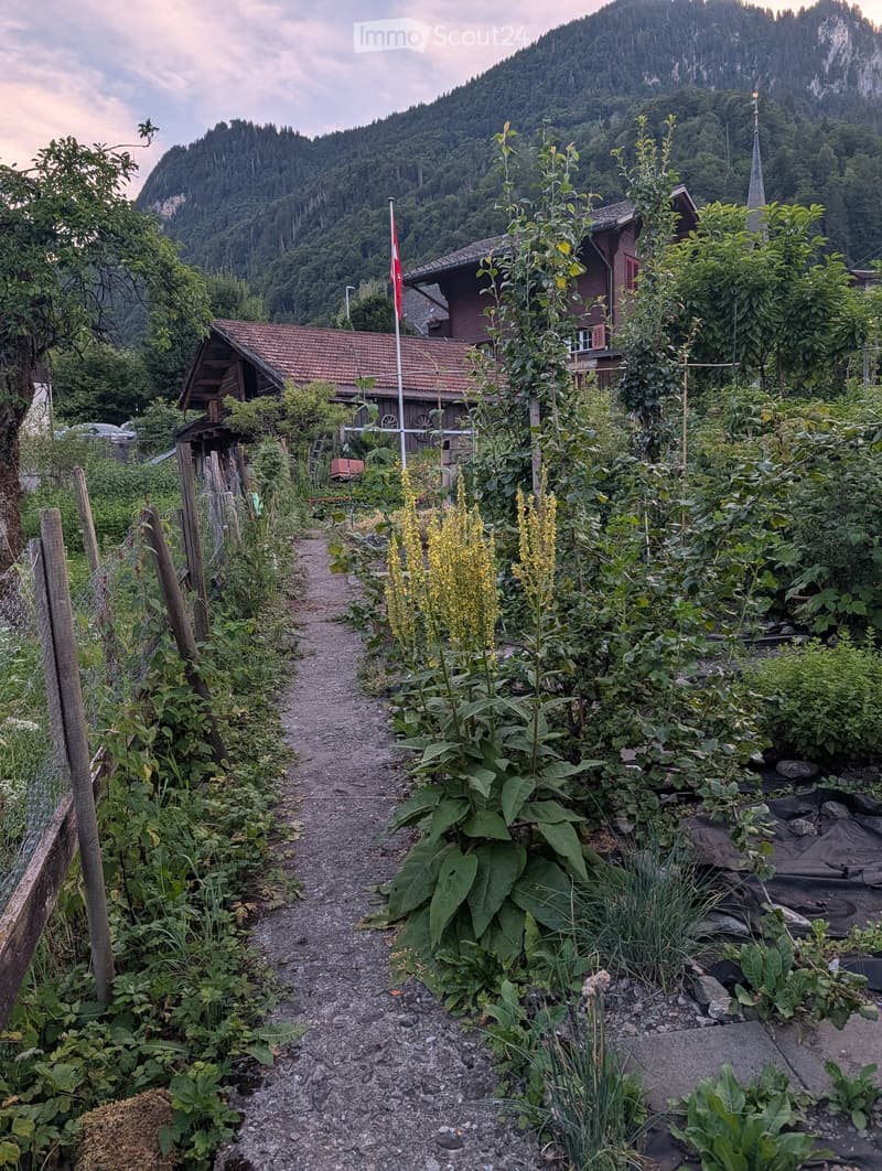 Garden path lined with tall plants and flowers, leading to a wooden house with a red-tiled roof and a Swiss flag, surrounded by lush greenery and mountains in the background.