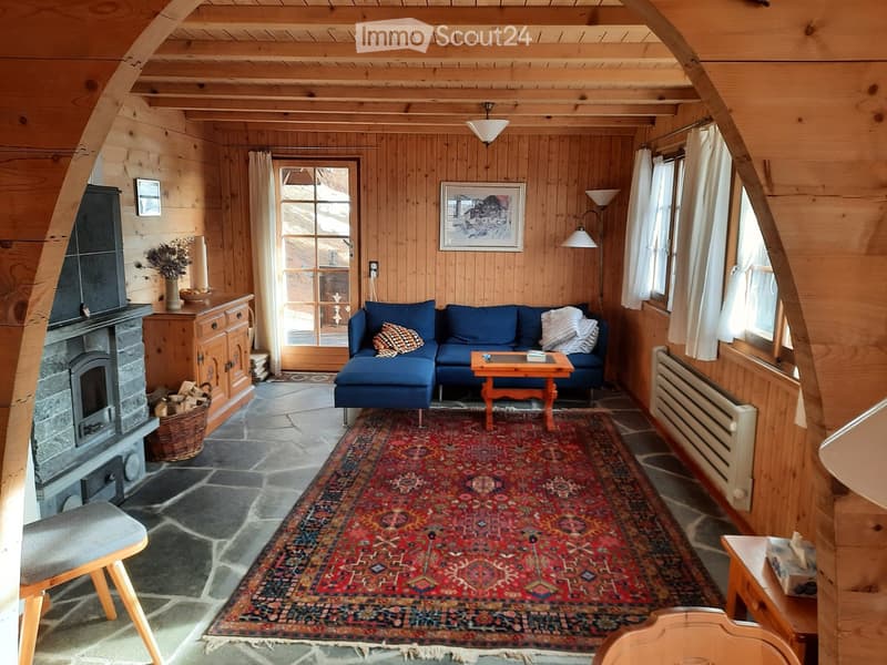 Living room with fireplace, blue couch, coffee table, rug, wooden cabinet, picture frame, radiator, lamp, windows with white curtains