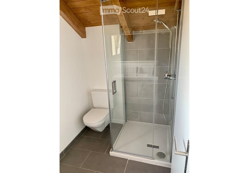 Modern bathroom with a glass-enclosed shower, toilet, and sleek fixtures.