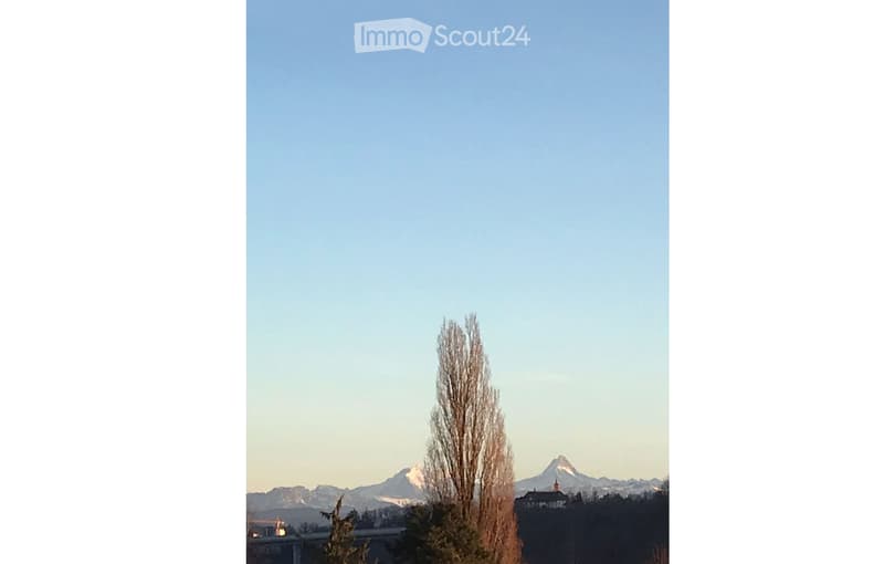 A serene outdoor view showcasing a clear blue sky, a solitary tree in the foreground, and distant snow-capped mountains under a soft, pastel sky.