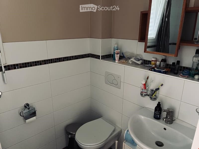 Bathroom: White tiles, white toilet, white sink, mirror, storage shelves, toilet paper holder, trash can