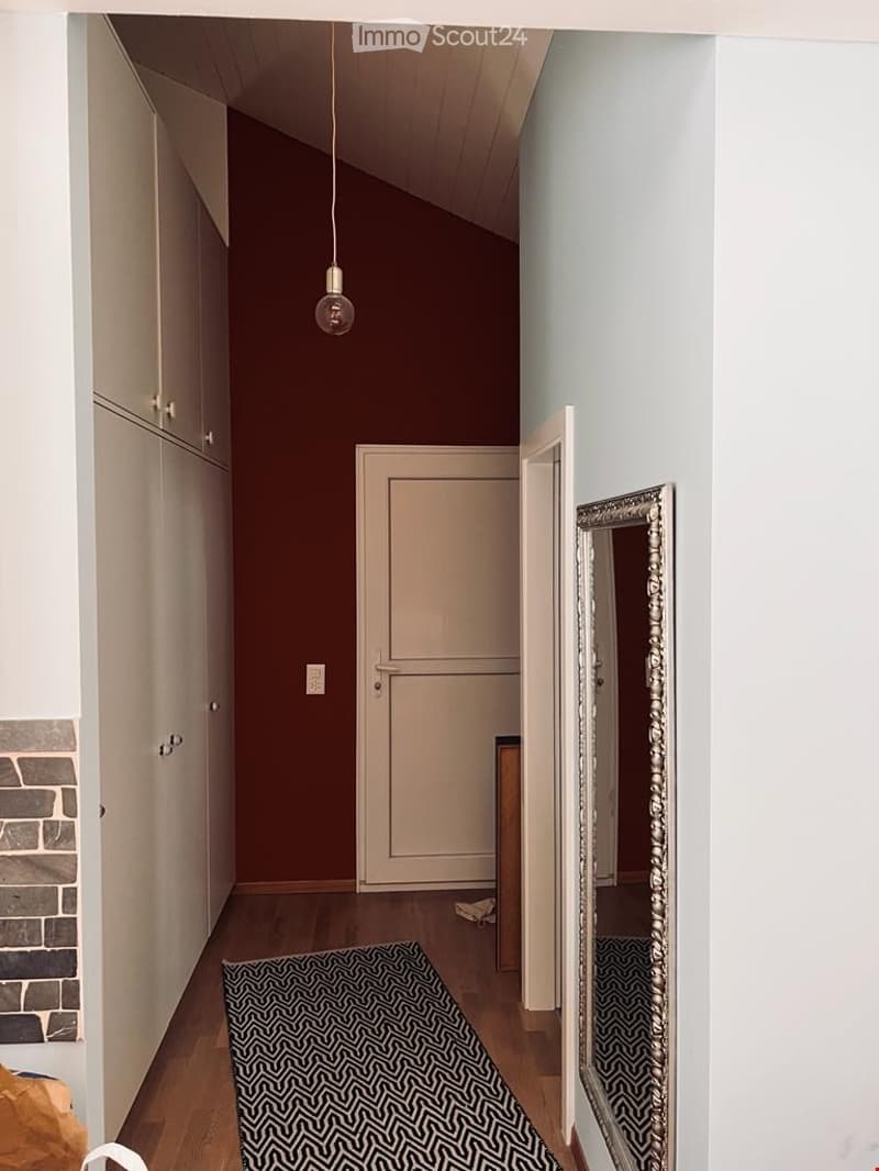 Wooden floor, white walls, mirror, black rug, wardrobes, door, power outlet