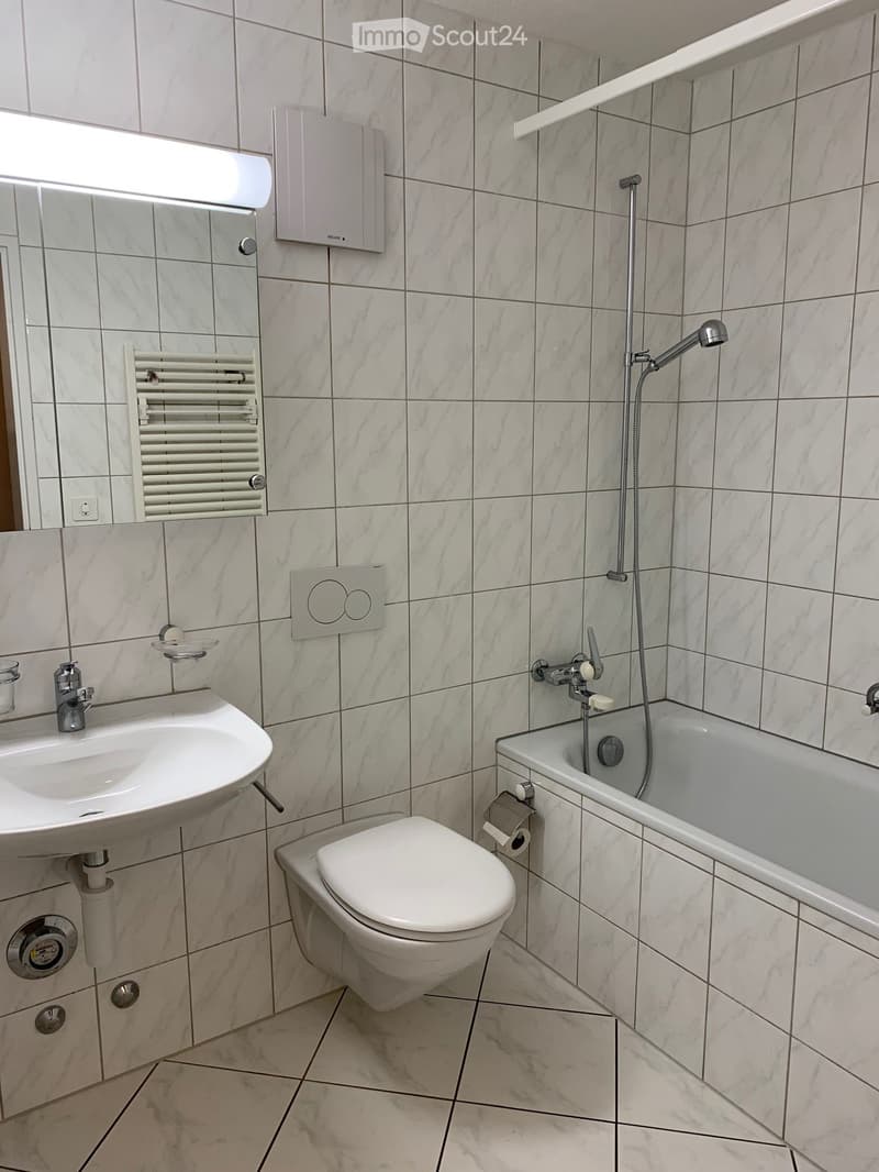 Modern bathroom with white marble tiles, a sink, toilet, bathtub, showerhead, and a radiator. The room features a mirror above the sink and a toilet paper holder next to the toilet.