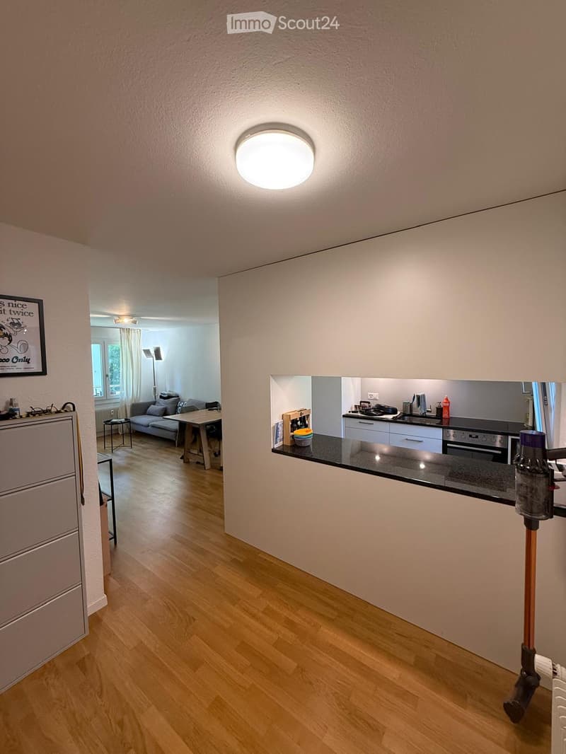 Hallway with wooden flooring, recessed ceiling light, leading to a living area with a sofa, coffee table, and a kitchen area with a countertop, appliances, and a vacuum cleaner.