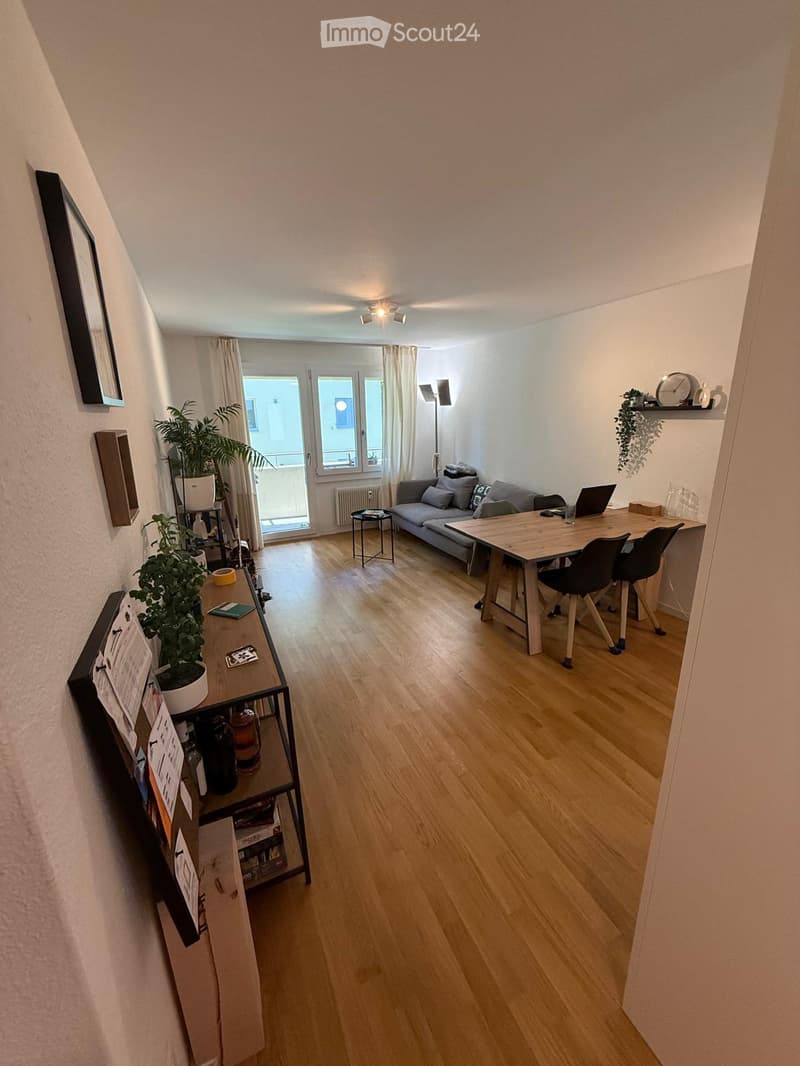 A modern, open-plan living and working space with wooden flooring, a grey sofa, a wooden desk, and a laptop. The room features large windows with white curtains, a potted plant, and a shelf with various items.