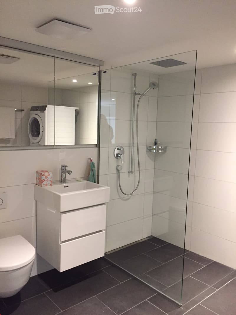 Modern bathroom with a white sink, chrome faucet, large mirror, toilet, glass-enclosed shower, and a washing machine in the corner.