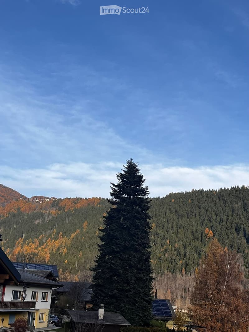 House and tree, mountain and forest in the background