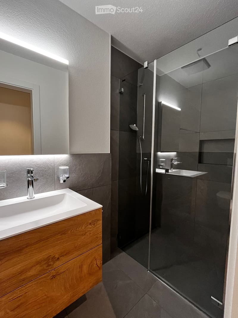 modern bathroom, wooden cabinet, white countertop, glass shower, silver faucet, large mirror