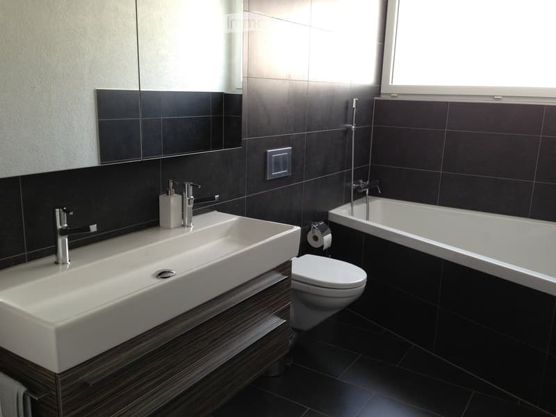 Modern bathroom with a large sink, toilet, bathtub, and sleek fixtures. Dark tiles and a large mirror are visible.