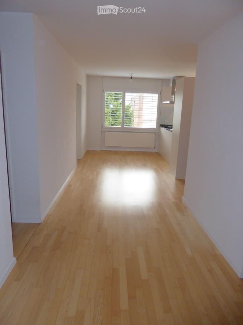 Empty room with wooden floor, white walls, large window with blinds, kitchen area with stove and sink