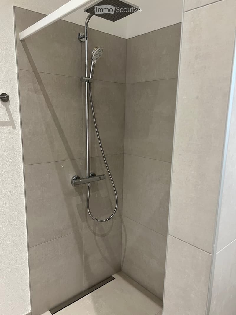 Modern shower area with grey tiled walls, a handheld showerhead, and a fixed overhead showerhead.
