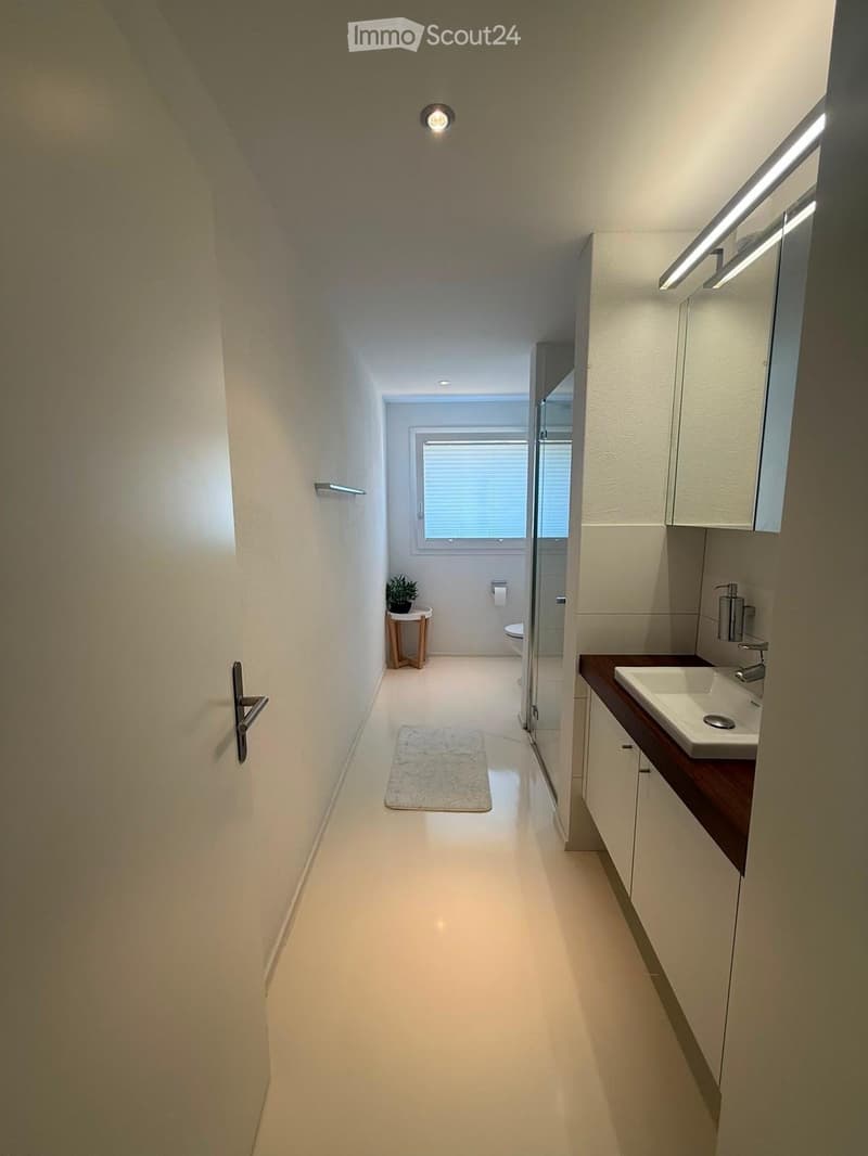 Modern hallway leading to a bathroom, featuring white walls, a glass shower enclosure, a sink with a faucet, a small round table with a plant, and a white rug on the floor.