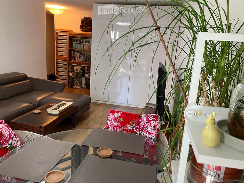 A modern living room with a dark brown leather sofa, a wooden coffee table, a glass dining table with chairs, a bookshelf, and a large potted plant.