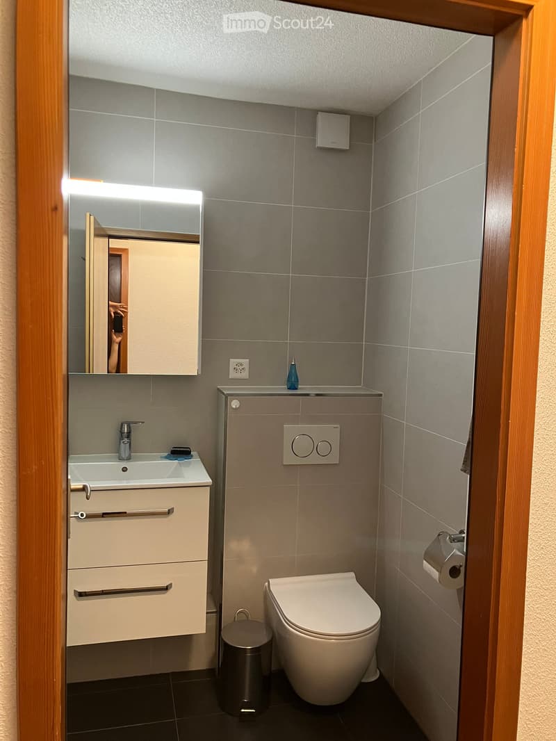 Modern bathroom with grey tiled walls, white sink, mirror, toilet, and a small cabinet. Includes a trash can and a bottle on the sink counter.