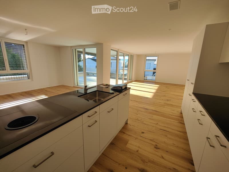 Modern kitchen with white cabinets, black countertops, wooden flooring, and large windows with blinds. Features an induction stove, sink, and faucet.