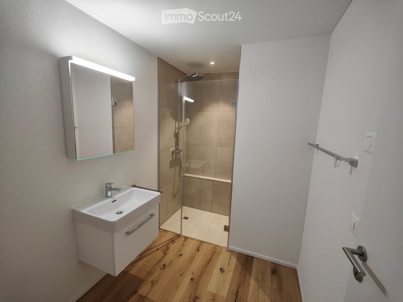 Modern bathroom with a white sink, built-in mirror cabinet, and a glass-enclosed shower area with a modern showerhead.