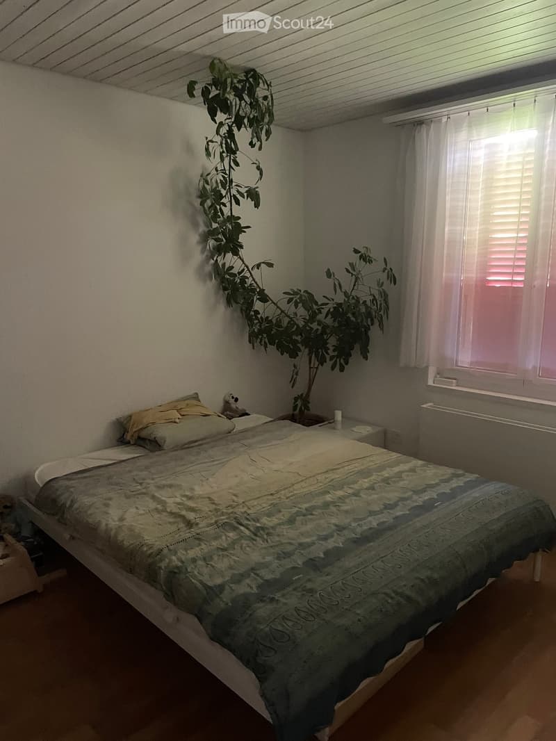 Cozy bedroom with a double bed, nightstand, and a tall leafy plant in the corner. The room has wooden flooring and white walls.