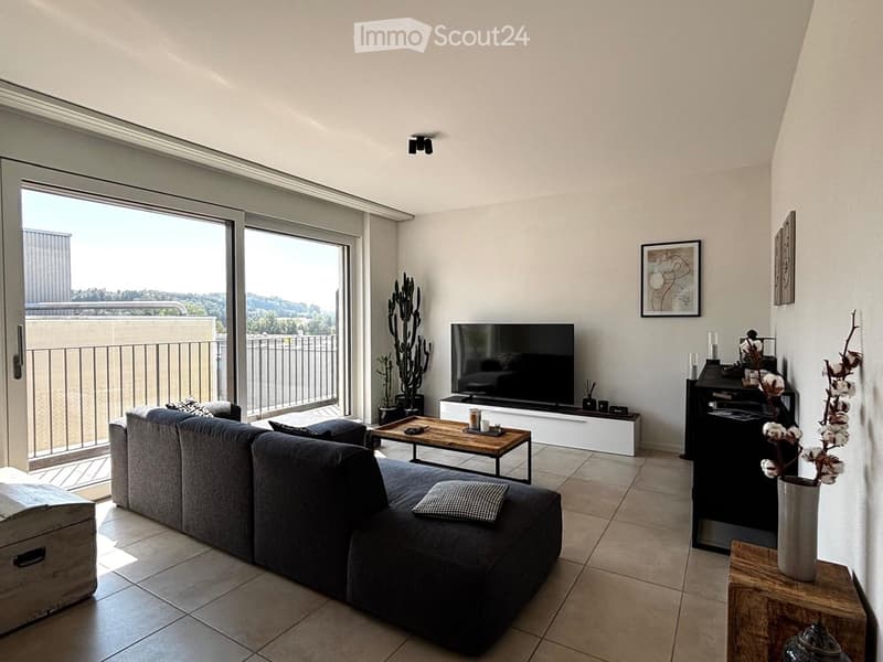 Modern living room with large sliding glass doors leading to a balcony, grey sectional sofa, coffee table, TV, side table with vase, and decorative cactus plant.