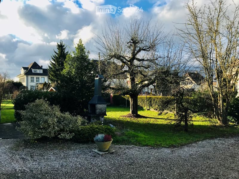 Garden with a gravel driveway, a potted plant, a stone barbecue, and surrounding trees and shrubs.