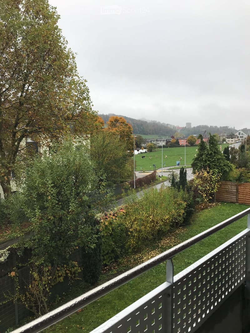 {"visible_features": ["Balcony / Terrace", "View"],    "type": "Outdoor",    "description": "Aerial view from a balcony of a grassy area with some plants, trees, and a road with a car. In the distance, there are buildings and a field with cows.",    "l