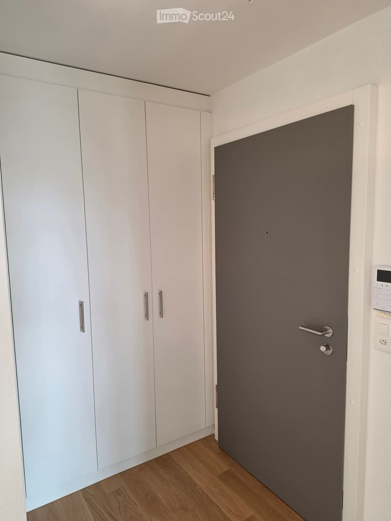 A modern hallway with white built-in cabinets on one side and a dark grey door on the other, featuring wooden flooring and sleek metallic handles.