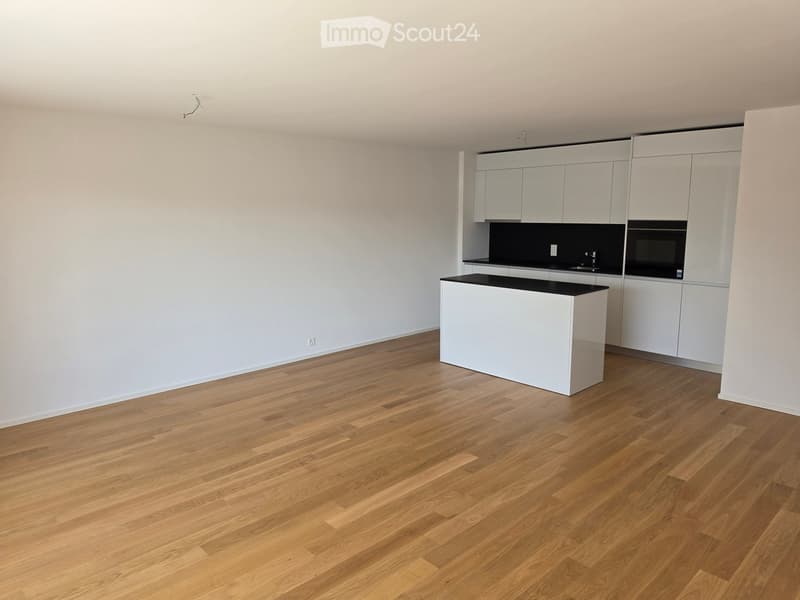Modern kitchen with white cabinets, black countertop, and wooden flooring.