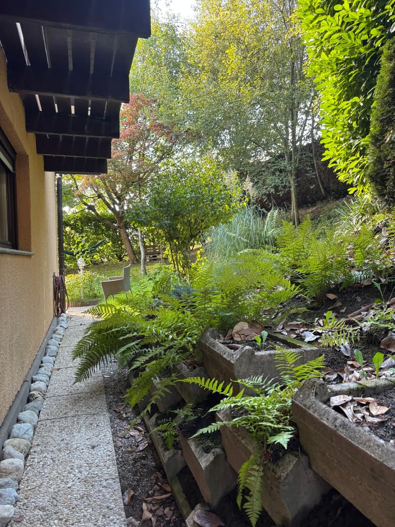 A lush garden area with a stone pathway, ferns, and various plants, adjacent to a building with a covered balcony.