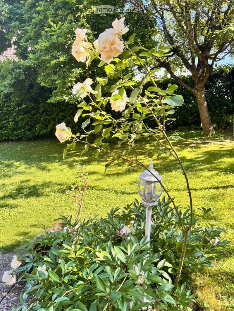 A well-maintained garden with lush green grass, flowering shrubs, and a decorative lantern post.