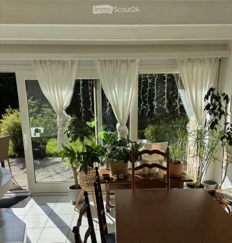 Brightly lit room with large windows and white curtains, featuring a wooden dining table, chairs, and several potted plants.