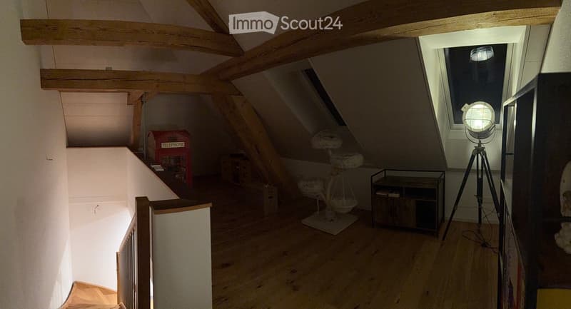 Loft-style room with wooden beams, exposed ceiling, cat tree, small table, vintage telephone booth, and a tripod-mounted lamp near a skylight window.