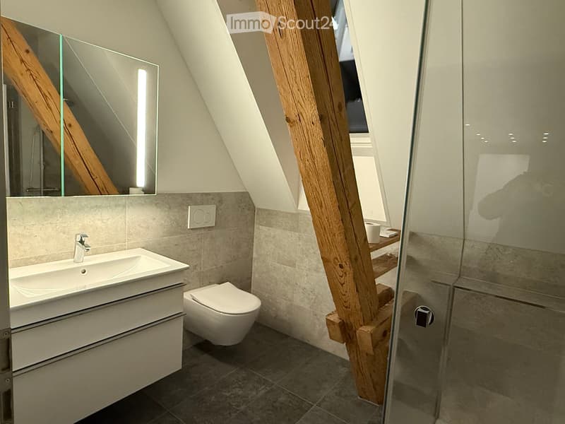 Modern bathroom with a sink, toilet, mirror, and wooden structural beams. Features a sleek design with neutral tones and a glass shower enclosure.