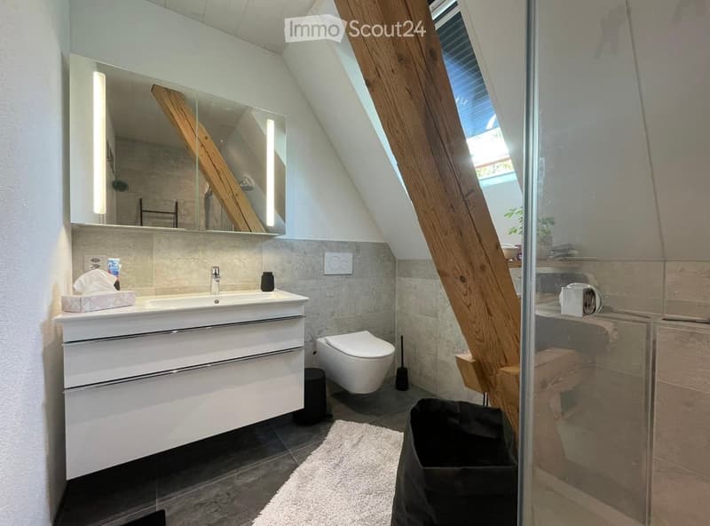 Modern bathroom with a white sink, mirror, toilet, and a glass-enclosed shower area. The room features wooden beams and a skylight window, providing natural light.