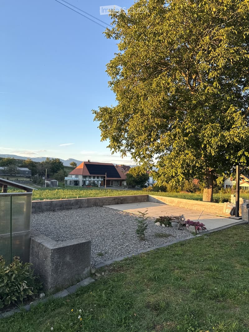 Garden area with a raised concrete platform, gravel, small plants, and a large tree, with a house and landscape in the background.
