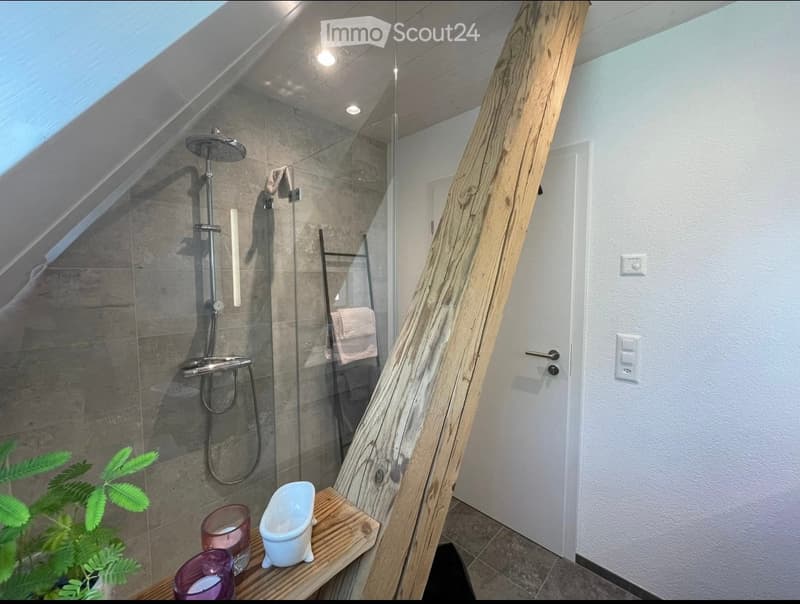 Modern bathroom with a glass-enclosed shower, wooden shelf, candles, and a small plant. The shower features a handheld sprayer and a built-in seat.