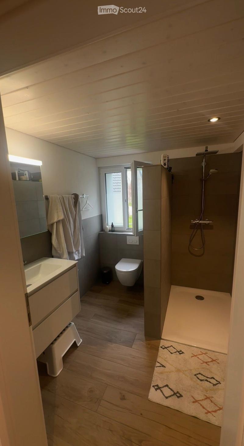 Modern bathroom with wooden flooring, a large window, a shower area, a sink, and a toilet. Includes a towel rack with towels, a mirror, and a small rug in the shower area.