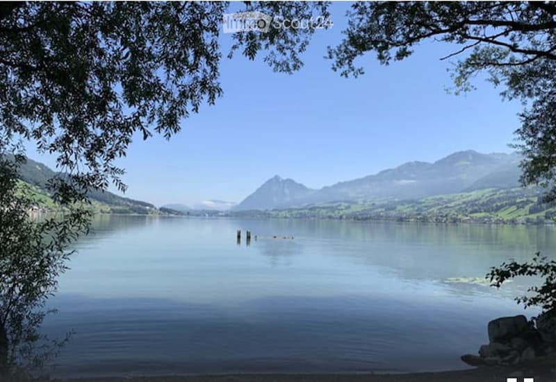 Serene lakeside view with clear blue water, distant mountains, and lush green trees framing the scene.