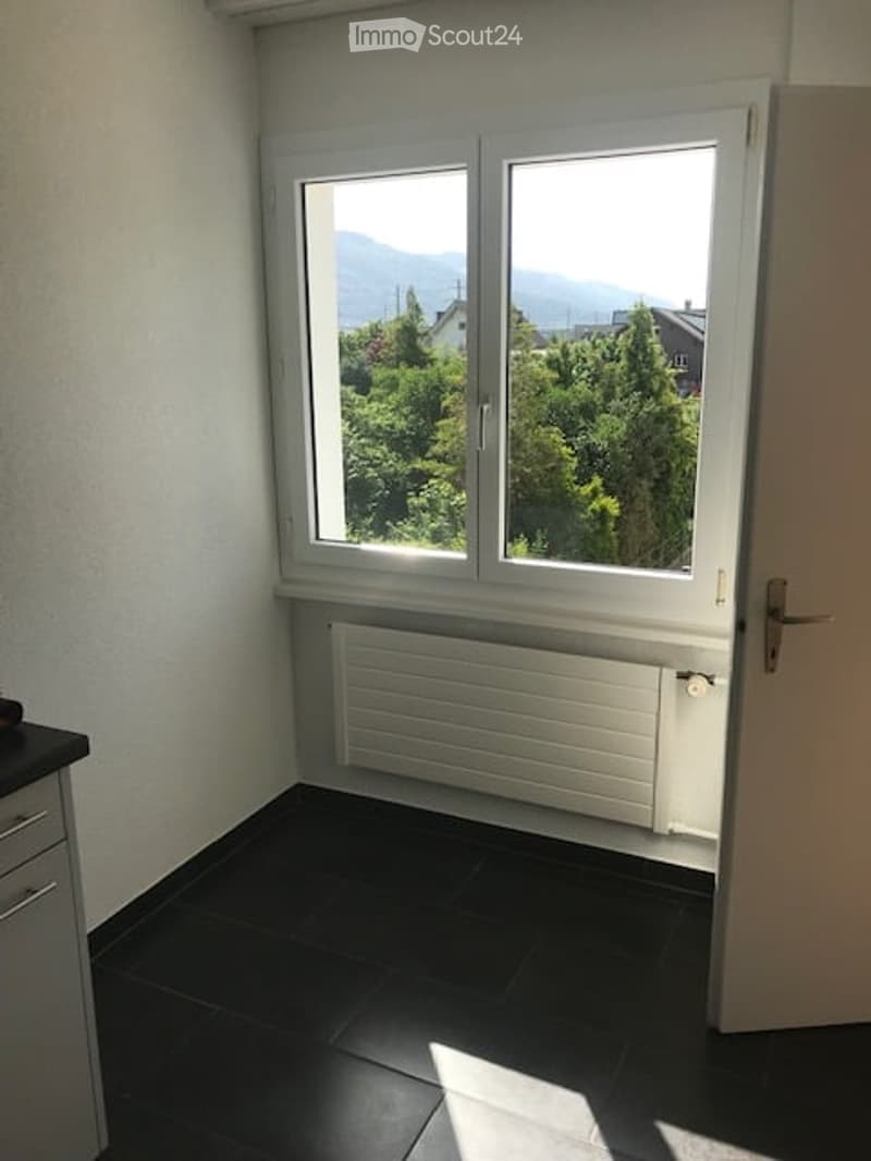 Empty room with large window offering a scenic mountain view, black tiled floor, white radiator, and white walls.