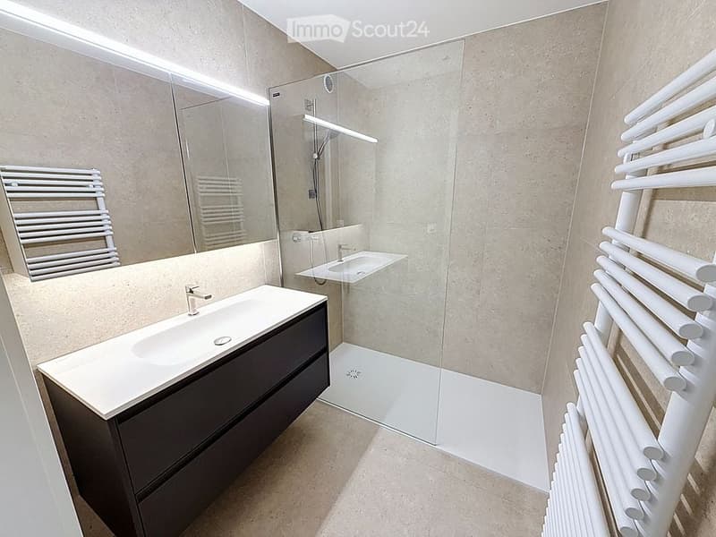 Modern bathroom with a white sink, dark cabinet, large mirror, glass shower enclosure, and white radiators on both sides.