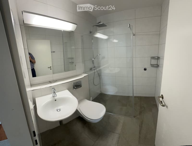 Modern bathroom with white tiles, a sink, toilet, mirror, and a glass-enclosed shower with a handheld showerhead.
