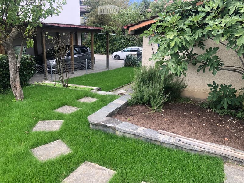 Well-maintained garden with a lawn, stone border, small plants, and a tree, with a house and parked cars in the background.