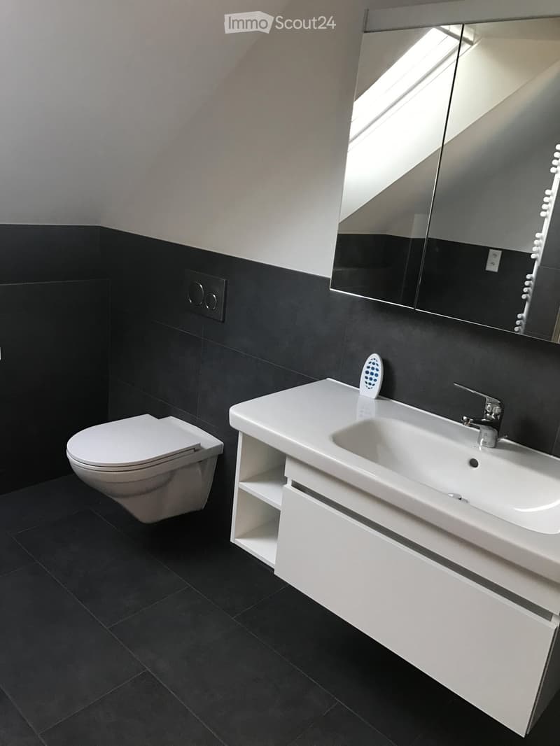 Modern bathroom with black tiles, white sink, toilet, and large mirror above the sink.