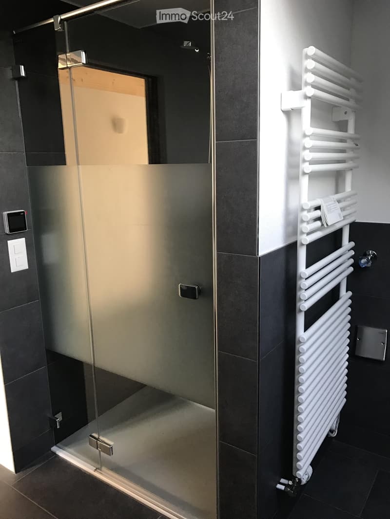 Modern bathroom with a glass-enclosed shower and a white radiator on the wall.