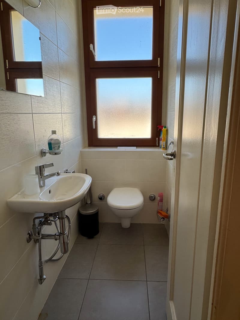 Prachtvolle Empfangswohnung mit Blick auf den See und atemberaubendem Blick im 6. Stock (15)