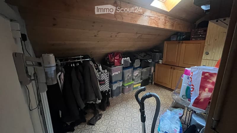 Attic storage room with wooden walls, slanted ceiling, and skylight. Contains a clothing rack, storage bins, pet carrier, cleaning supplies, and a vacuum cleaner.
