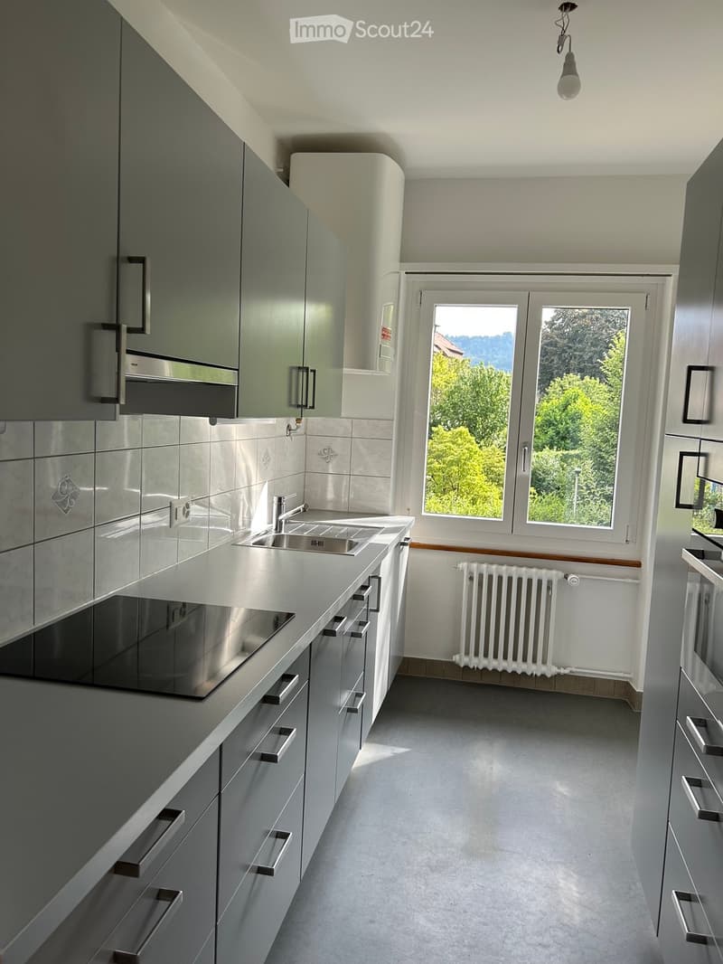 Modern kitchen with grey cabinets, stainless steel sink, and a window overlooking greenery.
