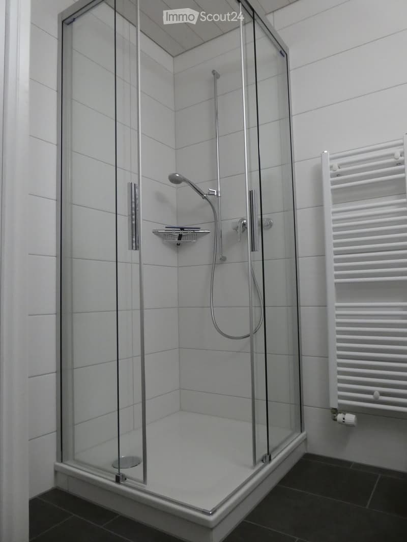 Modern bathroom with a glass-enclosed shower stall, chrome showerhead, and a white radiator on the wall.