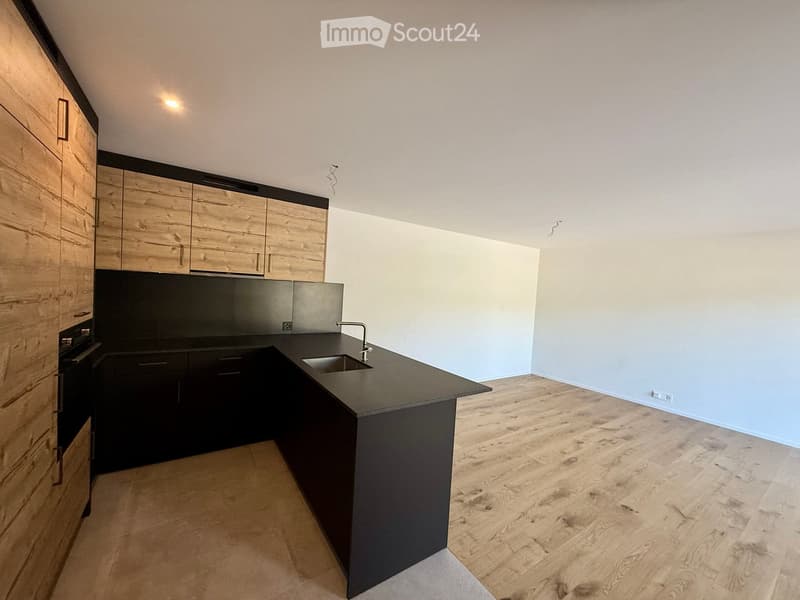 Empty kitchen with wooden cabinets, black countertops, and a sink, featuring light-colored walls and wooden flooring.