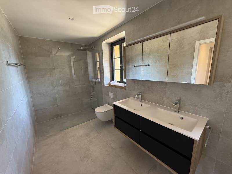 Modern bathroom with a double sink, large mirror, toilet, and walk-in shower with glass enclosure.