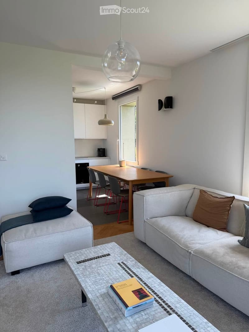 Modern living room with a grey sofa, coffee table with books, dining table with chairs, and a small kitchen area with cabinets and appliances.